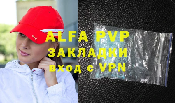 индика Приозерск
