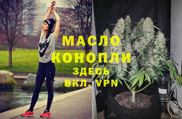 индика Приозерск