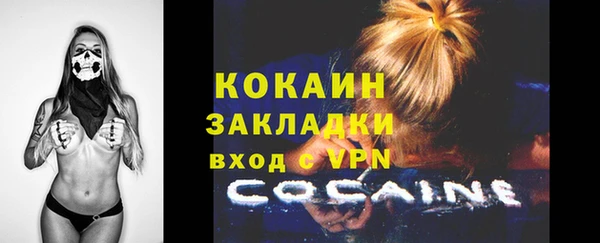 индика Приозерск