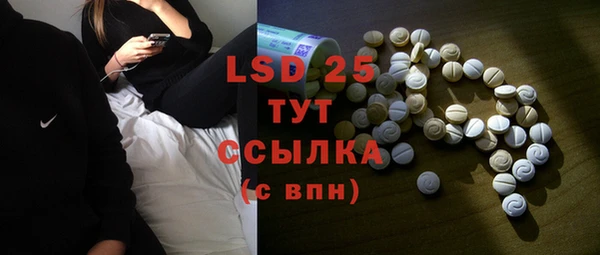 индика Приозерск