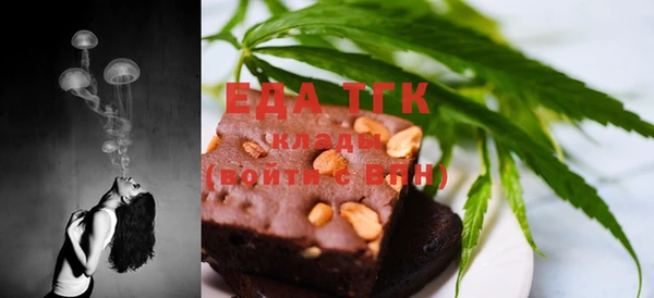 индика Приозерск