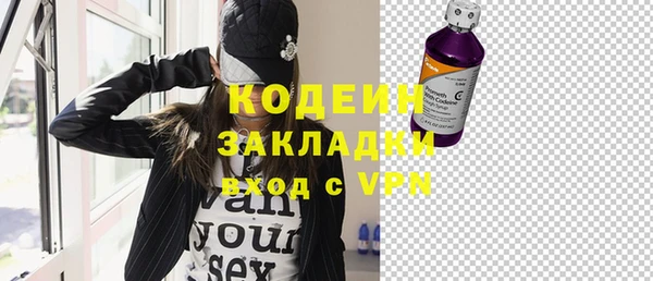 индика Приозерск