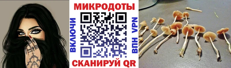 Купить где  Дивногорск  Псилоцибиновые грибы мухоморы 