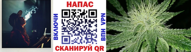 Купить где  Дивногорск  Каннабис план 